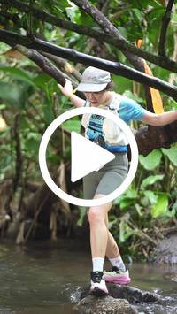 BIB:  <button type="button" onclick="openModal(27544191)" class="btn btn-primary btn-sm float-right" data-toggle="modal" data-target=".modal-high-quality">
                <i class="fa fa-download"></i> Download
                </button>